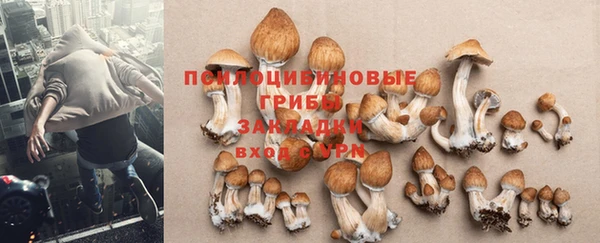 мескалин Иннополис